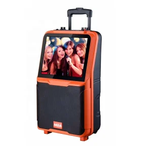 Speaker 8/10/12/15 Inch Super Power MDF Trolley Speaker USB/SD/FM/BT Display Remote