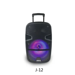Speaker Factory Price Private Mould Portable Active 12 Inch Trolley Party Speakers with Wireless Microphone