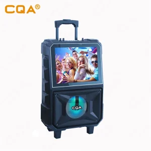 Speaker Video 14 Inch Outdoor Trolley Speaker with LCD Screen