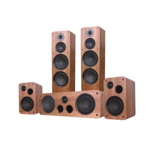 Speakers PA Portable Karaoke Speaker with Microphone Powered Tonewinner Power Outdoor System Professional
