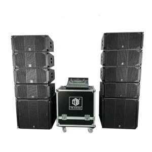 Stage Concert Dual 10 Inch Professional Speakers PA Sound System Set 18 Inch Powerful Subwoofer Active Line Array Speakers