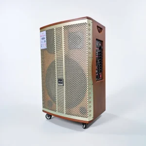 Stock RTS High Power Karaoke Speaker Microphones for 5.0 2 Handheld Mics 100 300W Output Portable 15 Inch Plastic Built in