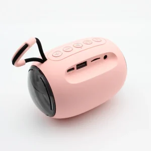 Stylish Cute Portable Mini Party Outdoor Speaker RGB LED Lighting WiFi AUX Mini Wireless Speaker