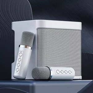 Subwoofer Wireless Outdoor Karaoke Speaker Bass High Quality Loud With Dual Wireless Microphone