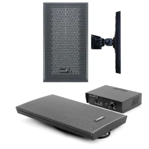 Super Directional Ultrasound Loudspeaker With Amplifier Wall Mounted Directional Speaker For Museum, Library, Exhibition