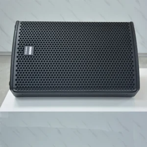T10 Professional 10 Inch Full Range Frequency Audio System 800W Column Speakers Passive 120W Karaoke Pro Loudspeaker