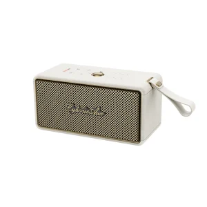 T21 Portable Blue tooth Speaker Dynamic RGB Lighting Rugged Design with Loud Stereo Sound Deep Bass and Compact Travel Build