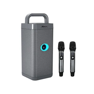 T26-2M 150W 2.1 Channel Portable Outdoor Bluetooth 6.0 Karaoke Speaker with Dual Wireless Microphones Subwoofer