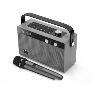 T6 30W Portable Bluetooth Speaker Wireless Speaker Support Voice Changer Rechargeable Wireless Mic