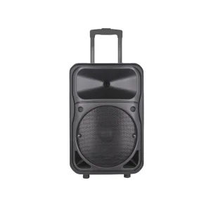 TAQ112 Square Dance Audio System Professional Outdoor Karaoke Speaker Microphone Home Use Trolley for Handheld Mic 2