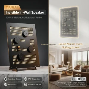 TIANLAI Smart Home Audio System Bundle Architectural Invisible Speaker Background Music Kit Domotica Smart System