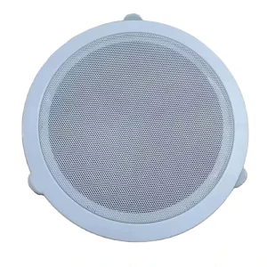 TPI 303 Professional 8 Inch Factory Direct Sale Full Range Speaker Audio Customized Indoor Passive Speaker In ceiling Speaker