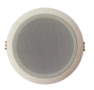 TPI 350 Professional 5.25 Inch Factory Direct Sale Full Range Speaker Audio Plastic Passive Speaker In ceiling Speakers