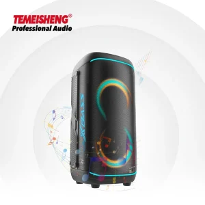 Temeisheng Dual 6.5-Inch Party Speaker Karaoke Microphone RGB LED Light 50-100W for Mobile Phone Home Outdoor Fun