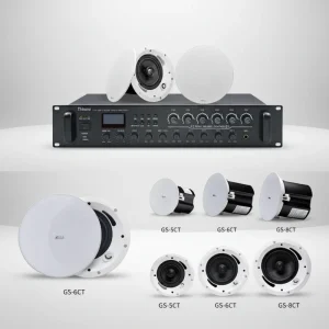 Thinuna GS Commercial Passive Portable 2 Way Component PA Public Address Speakers Box Audio System Sound Coaxial Ceiling Speaker
