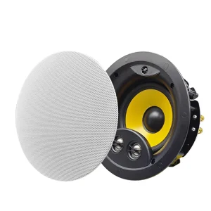 Three-Frequency Ceiling Speaker with 80W High-Fidelity Audio for Stage Use