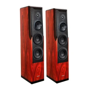 ToneWinner High End Home Theater System Floor Standing Speakers Wooden High Surround Sound Woofer Hifi Speaker Combo