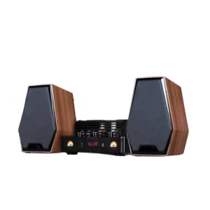 Tube Amplifier 2.0 HIFI Passive Speakers Sound System Home Theater Bookshelf Speakers