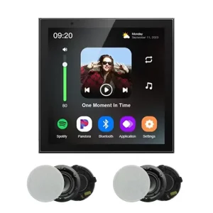 Tuya Smart Life 86N 4 Inch IPS Smart Screen for Gateway Panel Music Center with Built in Amplifier for Home