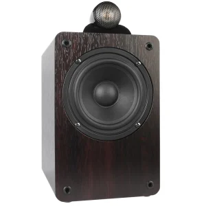 Two Way Bookshelf Speaker for Amplified Hi Fi Sound
