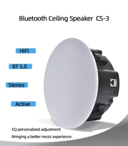 Two Way Coaxial Wireless BT Active Ceiling Speaker Audio Remote Control