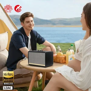 V5.3 IPX2 Waterproof 20W Portable Handheld Outdoor Wireless Subwoofer Karaoke Speaker
