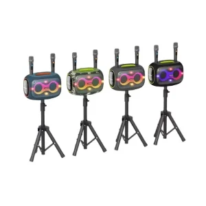 V5.3 Speaker IPX5 Waterproof High Power Outdoor Portable Subwoofer with Wireless Microphone RGB LED Lighting