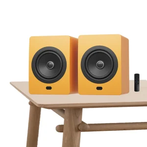 VISTRON With Remote Control Professional Home TWS HiFi Bluetooth Speakers 5.0 Wireless Studio Monitor Speakers
