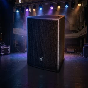 VT5150 Home Theater System Professional Stage Sound System Audio Single 15 inch Floor standing Stage Speakers 600W