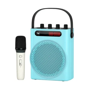 Voice Amplifier Portable PA Speaker Uhg Microhone Portable Speaker System for Indoor Handheld Microhone