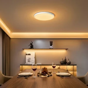Voice Control Smart LED Ceiling Light Compatible with Alexa and Google Assistant for Bedroom Living Room and Office
