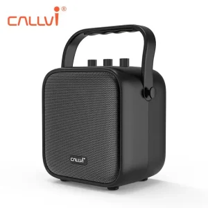 W5 Portable Party Speaker with MP3 Player and Wireless Microphone