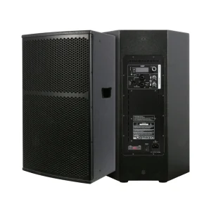 WHN12D3 12 Inch 500 W Audio Sound System PA Speaker Professional Wooden Active Powered Speakers