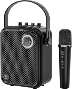 WINBRIDGE Wireless Mini Voice Amplifier with Microphone Portable PA Speaker System