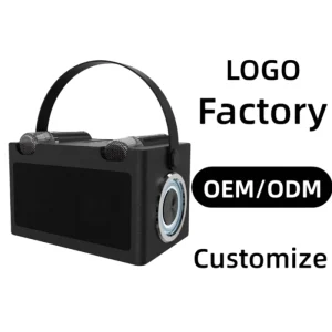 WJ-A831 Factory Customizable Portable Outdoor Wireless Speaker With Dual Microphone Heavy Bass Stereo for Karaoke Home Party