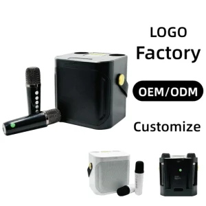 WJ-A926 OEM ODM Custom Portable BT Speaker Dual Mics Rechargeable Battery Built-in TF Slot for Party Gathering Entertainment