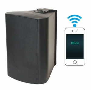 Wall Active WIFI Speaker 20W to 60W Built in Power Amplifier and Wireless WIFI Bluetooth Player