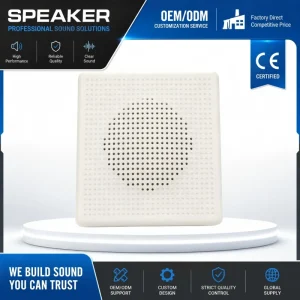 Wall Mount Speaker Commercial Indoor Outdoor Audio Speaker for Public Address and Background Music