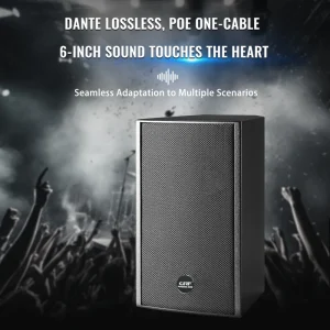 Wall Mounted Dante Active POE 6 Inch Speaker 8 Ohm 90W In Wall Network with Software for School Gym