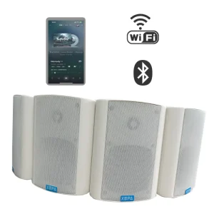 Wall Passive Active Speaker 20W 30W 40W 60W 80W 4inch 6inch 5inch 6inch 8inch IP/SIP/POE/WIFI Wall Speaker Factory