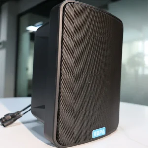 Wall Speaker 30-60W IP Wall Speaker 4inch-6inch Units Built-in Amplifier Application in Schools/Meeting Rooms/Mosques