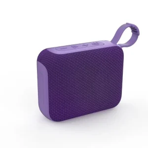 Waterproof Plastic Outdoor Boom Box Portable Handle for Speaker Subwoofer TWS APP RGB Lighting Party