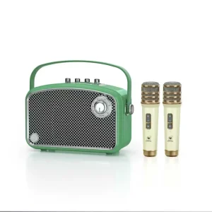 Winbridge 60W Audio Solution Wireless Hifi Speakers with Handheld Microphone