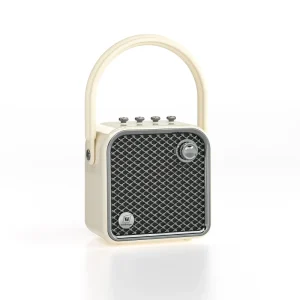 Winbridge L20 20W Portable 5.3 Karaoke Speaker Rechargeable