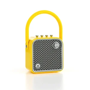 Winbridge L20 20W Portable Retro Speaker Unique Gift for Birthday Christmas & Party Rechargeable with Carry Handle