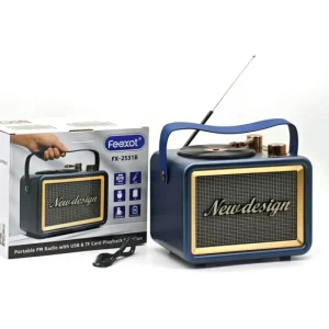 Wireless BT Vintage Gramophone Speaker FX 2531B FM Radio USB TF Playback 18650 Battery 2400mAh Type-C Port