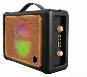 Wireless Portable Karaoke Speaker 6.5 Inch Home Outdoor Party Speaker Built-in Mic 2.0 Channel USB