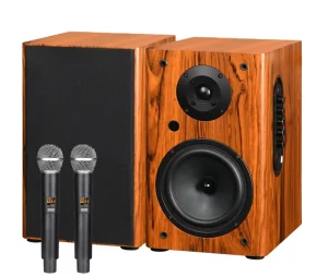 Wooden Karaoke Speaker with Mic and bluetooth Hifi Surround Sound Passive Bookshelf Speakers Computer Speakers with Subwoofer