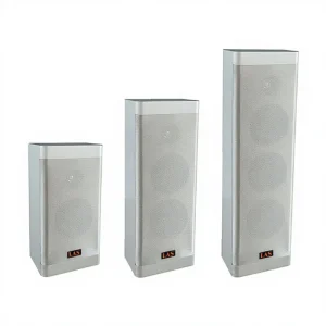 Wooden Speaker System LAS LCS-610 620 630 for Public Broadcasting Background Music and Conference Use Wall-mounted Speakers