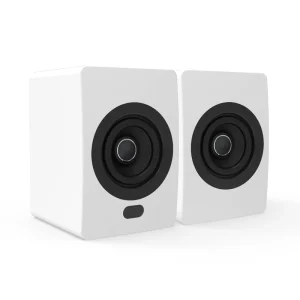 Wooden TWS HIFI Active Wireless Bluetooth 5.0 HiFi Speaker Sound Equipment Speakers